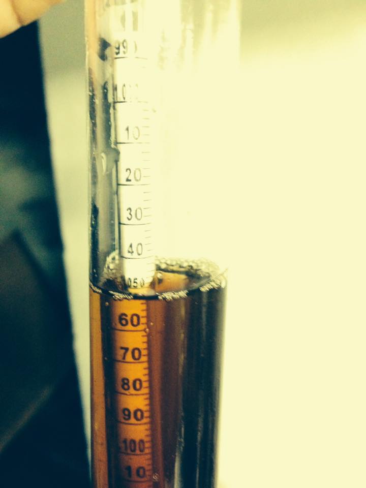 Gravity measurements at Vulcana - Cerveja Açoreana