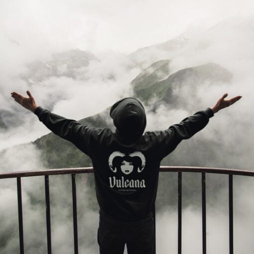 Hoodies and Sweatshirts